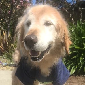 Meet your Posher, Evan